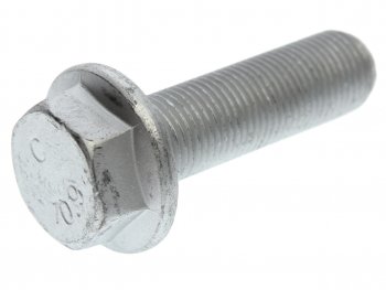 Болт SAF крепления суппорта (M16x1.5x55) SAMPA SAMPA 102.481