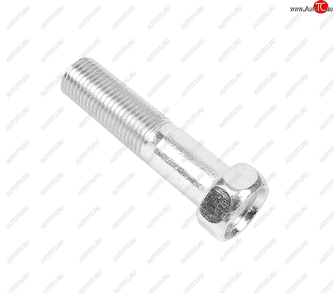 38 р. Болт М12х1.25х50 ГАЗ-3302 эксцентрика ГРМ ЭТНА Красная Этна ОАО 201571-п29  с доставкой в г. Вологда