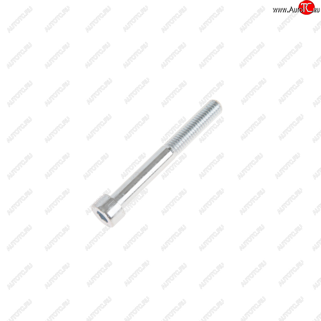 19 р. Болт М8х1.25х65 крышки передней дв.ЗМЗ-406 длинный NO NAME 874404-п29  с доставкой в г. Вологда