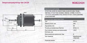 7 549 р. Энергоаккумулятор MAN TGA,TGS,TGX задний тип 2424 барабанный тормоз MARSHALL MARSHALL m2822424  с доставкой в г. Вологда. Увеличить фотографию 6