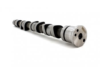 5 899 р. Вал распределительный ЗМЗ-4062,40522,40524,409 инжектор METALPART METALPART mp-406.1006015-10  с доставкой в г. Вологда. Увеличить фотографию 7