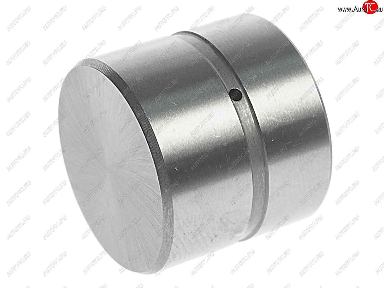529 р. Гидрокомпенсатор HYUNDAI Accent (99-),Elantra (00-),Getz (02-),Matrix (01-) NSP NSP nsp022223137110  с доставкой в г. Вологда