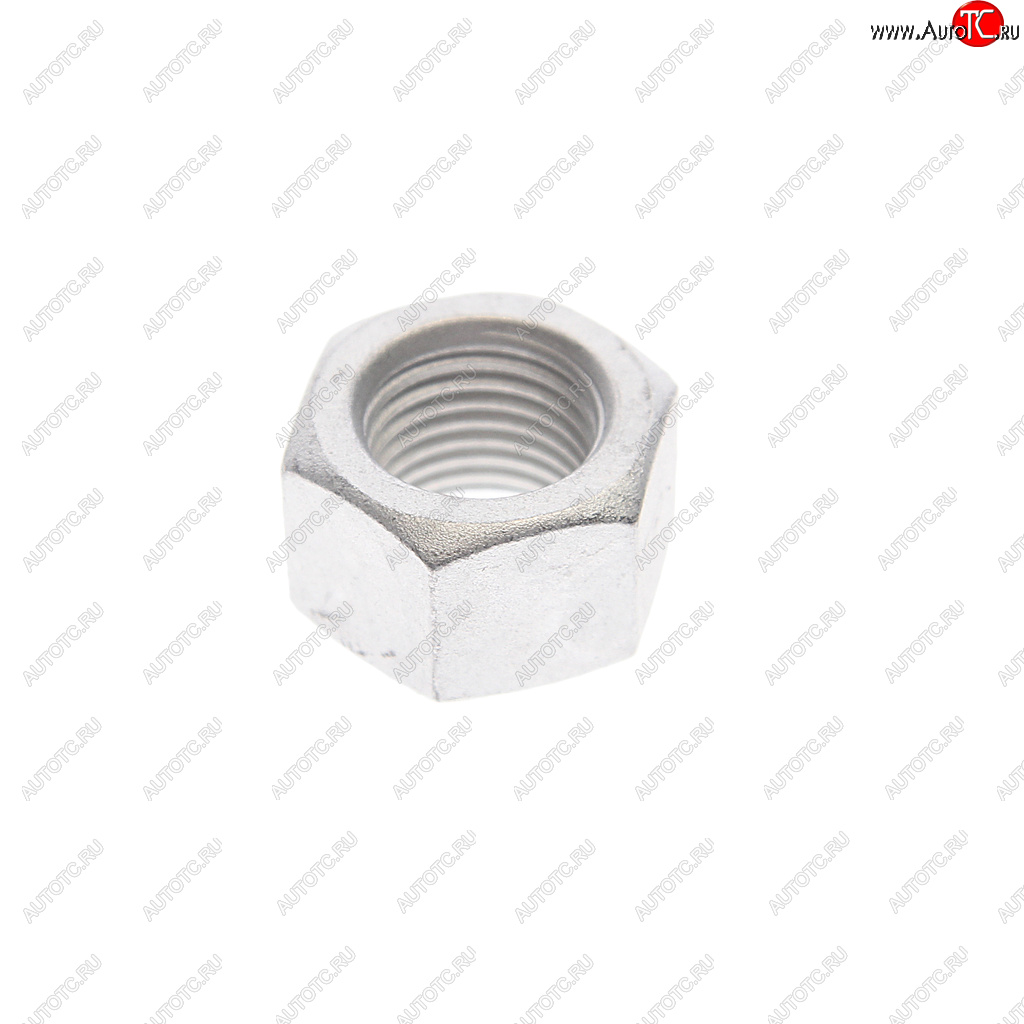162 р. Гайка VW AUDI SEAT SKODA PATRON PATRON pblt031  с доставкой в г. Вологда