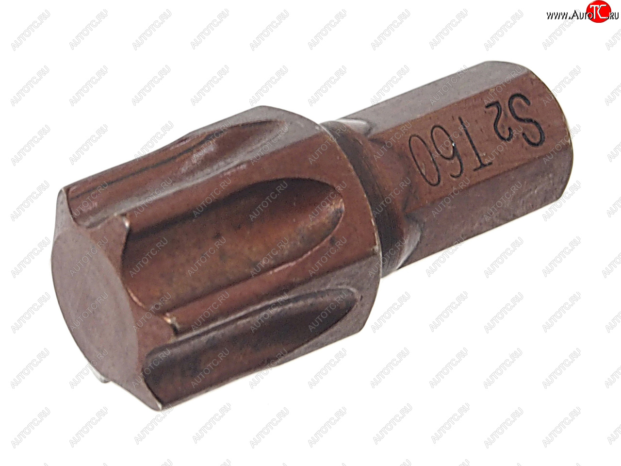 97 р. Бита TORX T60х30мм 5/16 ROCKFORCE ROCKFORCE rf-1563060pr ROCKFORCE rf-1563060pr  с доставкой в г. Вологда