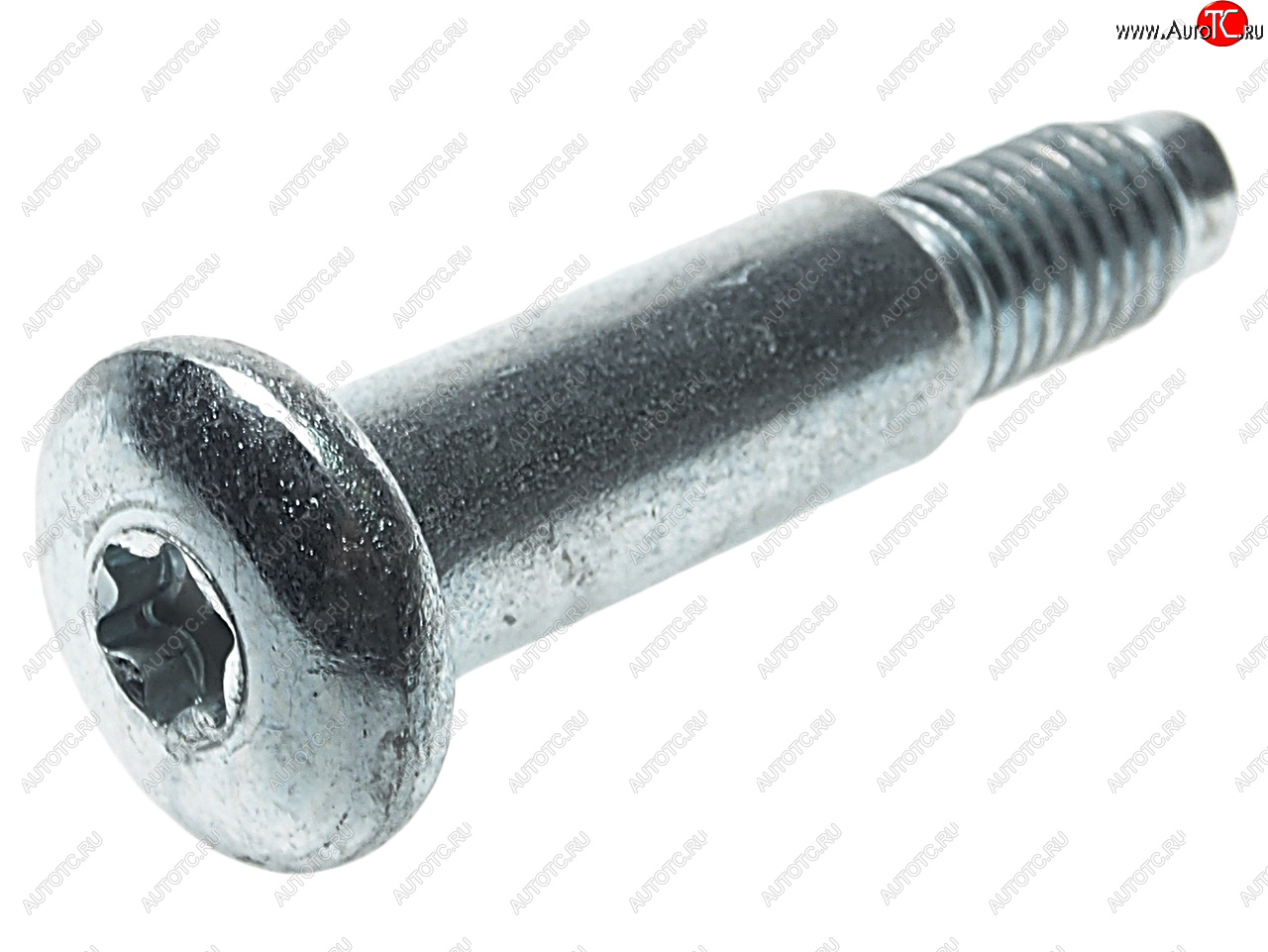 35 р. Болт М8х1.25х47 (ось) петли двери ВАЗ-1118 (ключ TORX) NO NAME 11180-6106020-00 NO NAME 11180-6106020-00  с доставкой в г. Вологда