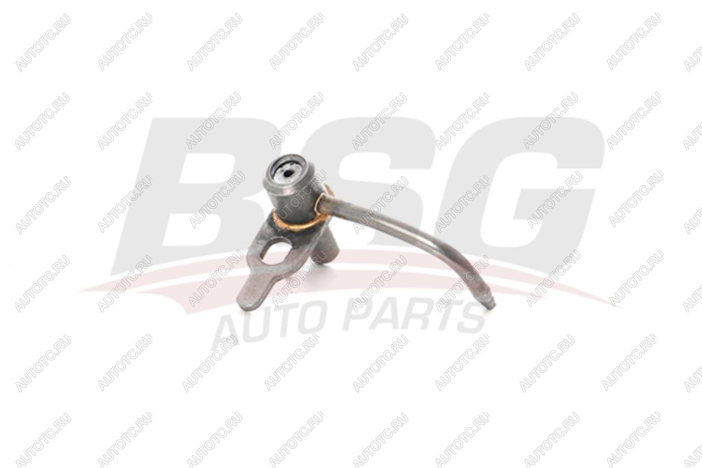 929 р. Форсунка FORD Transit (00-) масляная BSG BSG bsg30122034  с доставкой в г. Вологда