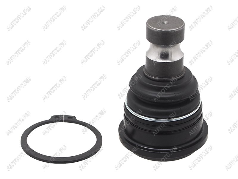 1 459 р. Шаровая опора переднего нижнего рычага HYUNDAI SANTA FE 06-KIA SORENTO 09-12 555 SBK-8442 с доставкой в г. Вологда Увеличить фотографию 1 1 459 р. Шаровая опора переднего нижнего рычага HYUNDAI SANTA FE 06-KIA SORENTO 09-12 555 SBK-8442 с доставкой в г. Вологда