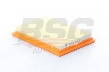 Фильтр воздушный FORD Fiesta (01-),Fusion (02-) BSG BSG bsg30135028
