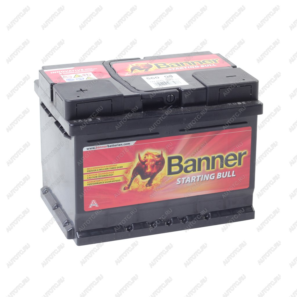 7 499 р. Аккумулятор BANNER Starting Bull 60Ач низкий BANNER 6ст60(1) 560 08  с доставкой в г. Вологда