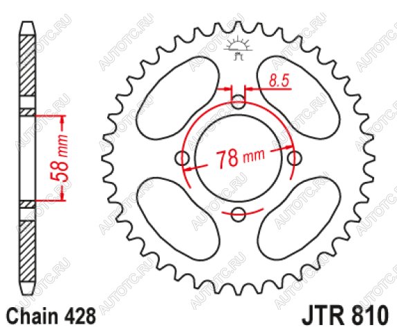 1 579 р. Звезда цепного привода JTR810 41  jtr810.41  с доставкой в г. Вологда