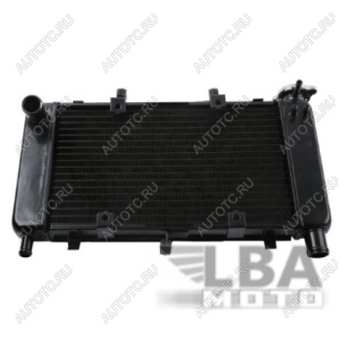9 999 р. Радиатор для Yamaha FZ6, FZ6N, FZ6-N, FZ6S  04-10  пм-00000940  с доставкой в г. Вологда