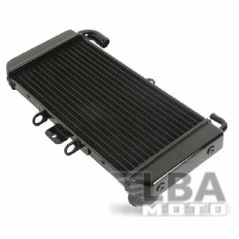 11 449 р. Радиатор для Yamaha FZS600 98-03  пм-00000942  с доставкой в г. Вологда. Увеличить фотографию 2