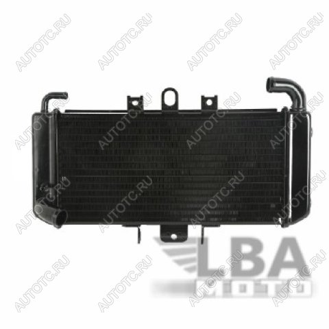 11 449 р. Радиатор для Yamaha FZS600 98-03  пм-00000942  с доставкой в г. Вологда