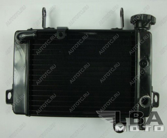 10 399 р. Радиатор для Honda CBR125 04-10  пм-00000961  с доставкой в г. Вологда