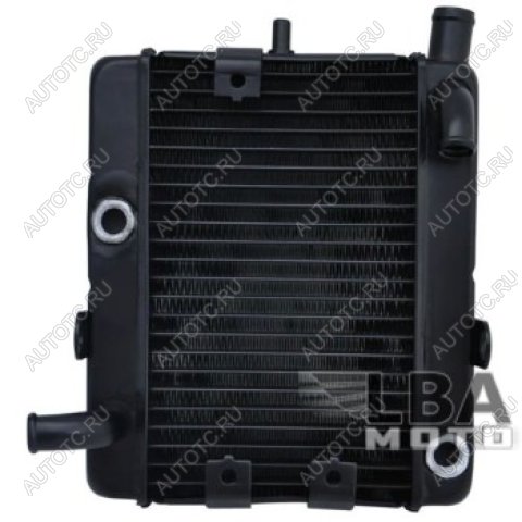 17 449 р. Радиатор для Yamaha YP250  пм-00003663  с доставкой в г. Вологда