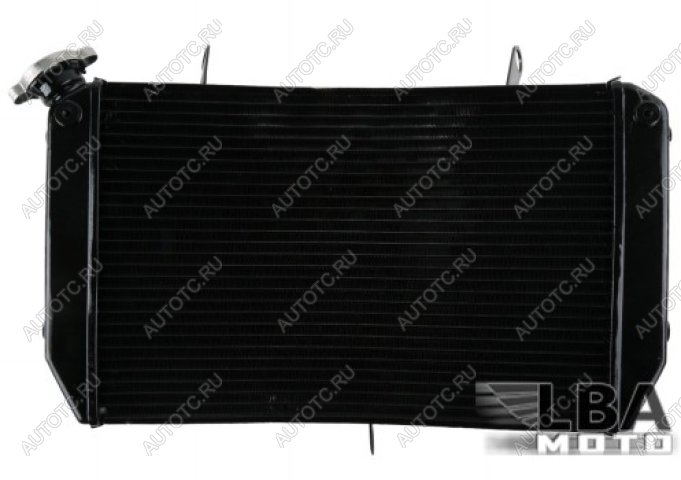 10 999 р. Радиатор для Yamaha FZ1 06-13, FZ1-N 06-12, FZ1-S 06-13, FZ8-N 11-13, FZ8-S 11-13  пм-00003665  с доставкой в г. Вологда