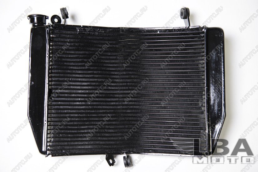 12 549 р. Радиатор для Yamaha YZF-R6 03-05R6s 06-10  пм-00002453  с доставкой в г. Вологда