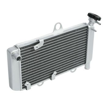 10 649 р. Радиатор для Yamaha XT660R, XT660X 04-14  пм-00025634  с доставкой в г. Вологда. Увеличить фотографию 2