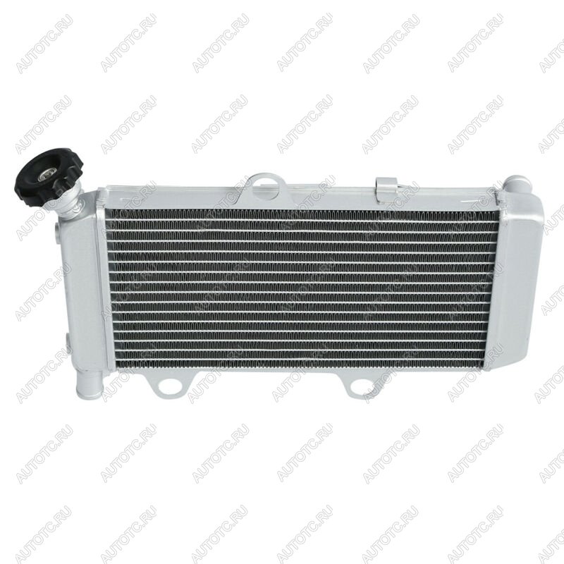 10 649 р. Радиатор для Yamaha XT660R, XT660X 04-14  пм-00025634  с доставкой в г. Вологда