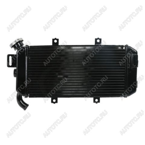 12 899 р. Радиатор для Kawasaki ER-6F 06-08  пм-00027318  с доставкой в г. Вологда