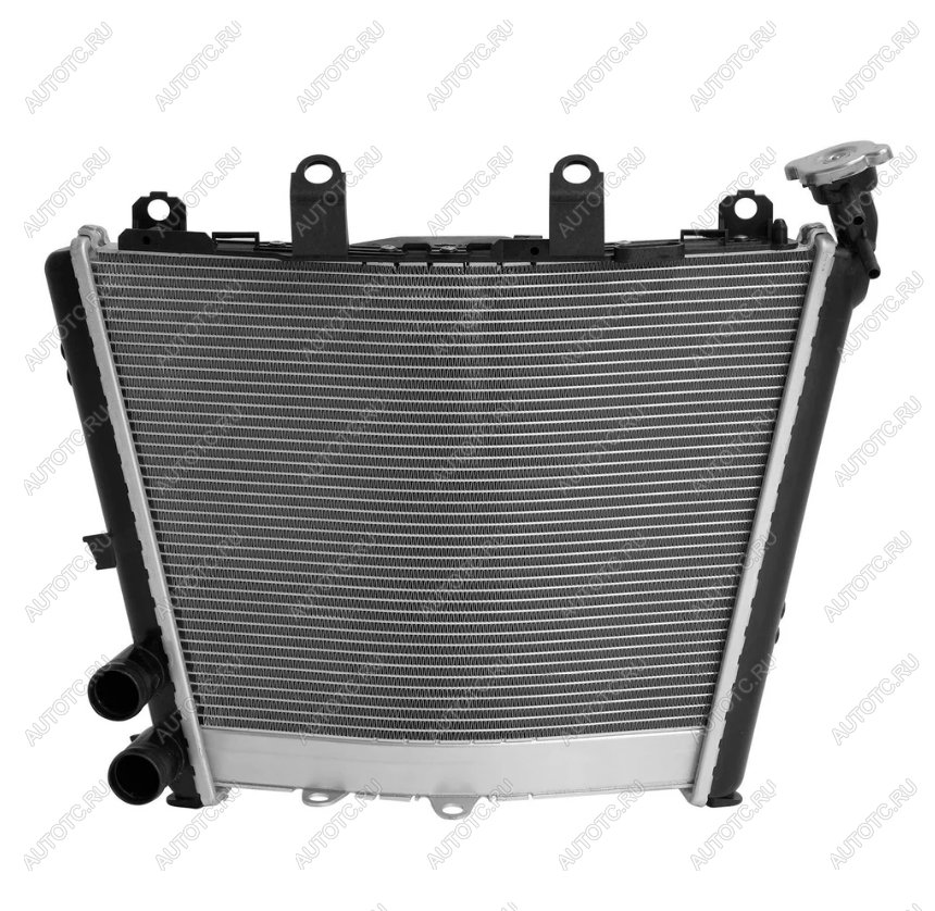 24 999 р. Радиатор для BMW M1000RR 21-24, S1000R 21-24, S1000RR 19-24  пм-00030874  с доставкой в г. Вологда