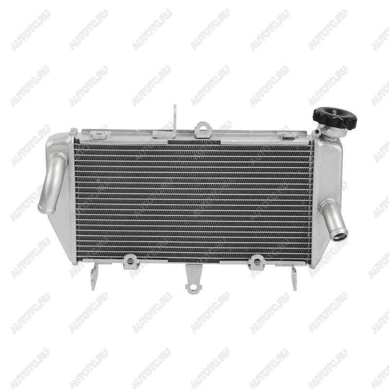 14 499 р. Радиатор для Yamaha MT-03, MT-25 16-24  пм-00030800  с доставкой в г. Вологда