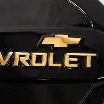 1 989 р. Колпак запасного колеса Chevrolet NIVA (до 2009 г.в.) ООО Автостайл Автостайл ООО г. Сызрань 2000000700410  с доставкой в г. Вологда. Увеличить фотографию 8