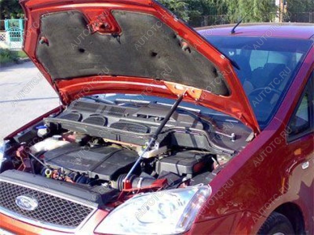 3 499 р. Упор капота ТехноМастер Ford C-max Mk1 рестайлинг (2007-2010)  с доставкой в г. Вологда