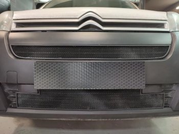 2 699 р. Защитная сетка в бампер (низ, ячейка 3х7 мм) Alfeco Стандарт  CITROEN Berlingo  B9 (2015-2022) рестайлинг (Чёрная)  с доставкой в г. Вологда. Увеличить фотографию 2