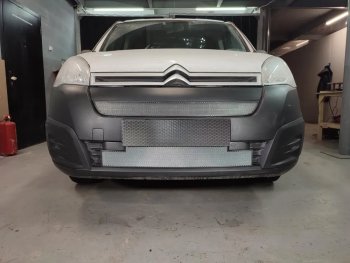 2 299 р. Защитная сетка в бампер (верх, ячейка 3х7 мм) Alfeco Стандарт  CITROEN Berlingo  B9 (2015-2022) рестайлинг (Хром)  с доставкой в г. Вологда. Увеличить фотографию 2
