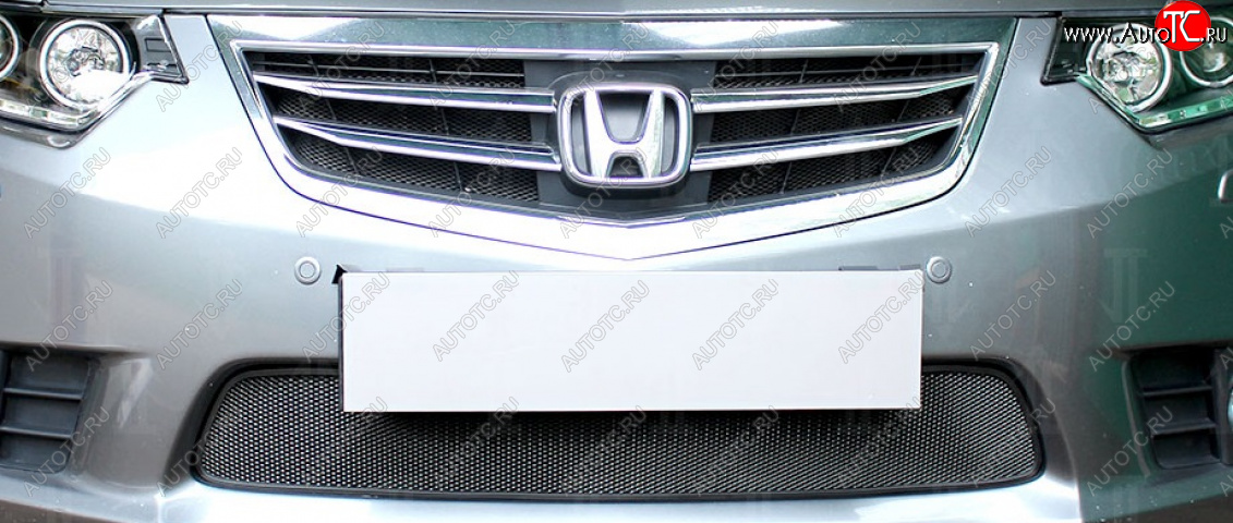 3 079 р. Защитная сетка в бампер (низ, ячейка 3х7 мм) Alfeco Стандарт  Honda Accord  9 CR (2013-2016) седан дорестайлинг (Чёрная)  с доставкой в г. Вологда