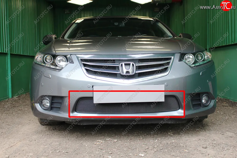2 999 р. Защитная сетка в бампер (низ, ячейка 3х7 мм) Alfeco Стандарт  Honda Accord ( 8 CU,  8 CW) (2011-2013) седан рестайлинг, универсал рестайлинг (Чёрная)  с доставкой в г. Вологда