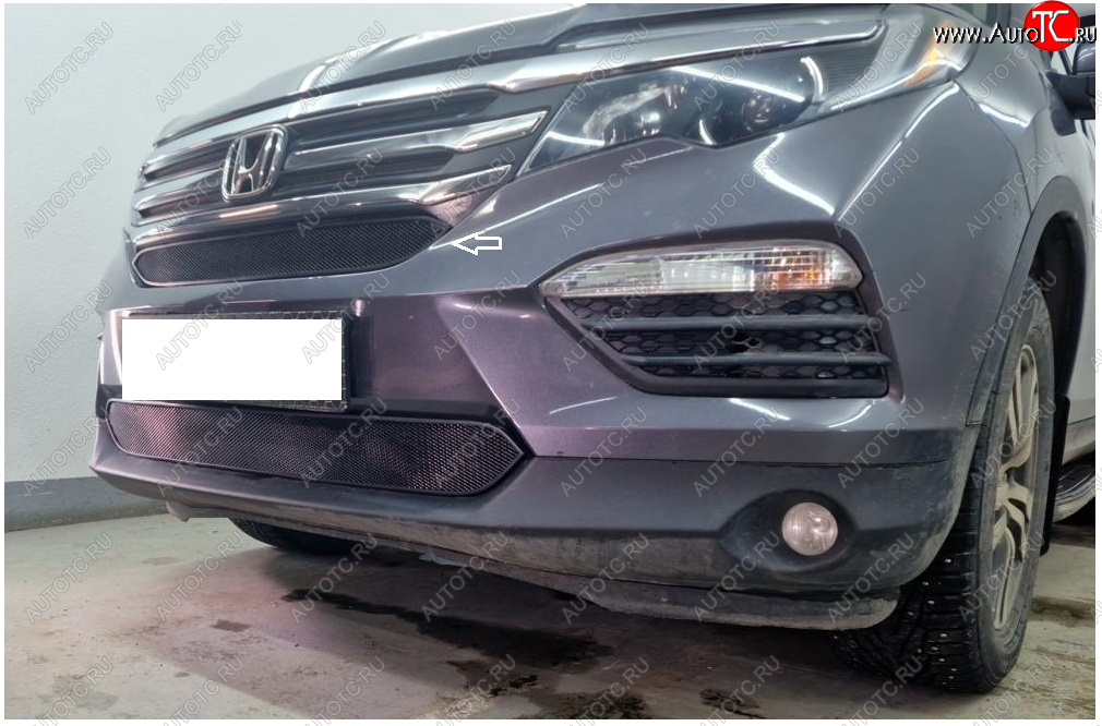2 169 р. Защитная сетка в бампер (верх, ячейка 3х7 мм) Alfeco Стандарт  Honda Pilot  YF6 (2016-2019) дорестайлинг (Чёрная)  с доставкой в г. Вологда