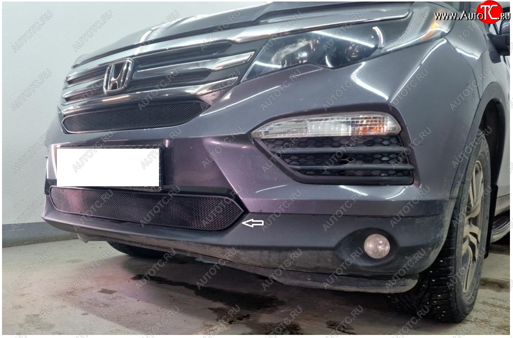 2 699 р. Защитная сетка в бампер (низ, ячейка 3х7 мм) Alfeco Стандарт  Honda Pilot  YF6 (2016-2019) дорестайлинг (Чёрная)  с доставкой в г. Вологда
