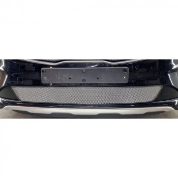 2 569 р. Защитная сетка в бампер (низ, ячейка 3х7 мм) Alfeco Стандарт  KIA Carnival  YP (2018-2020) минивэн рестайлинг (Хром)  с доставкой в г. Вологда. Увеличить фотографию 2
