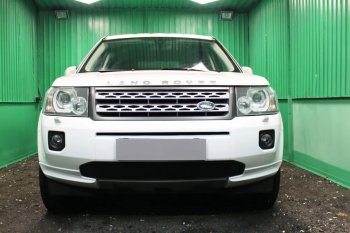 Защитная сетка в бампер (низ, ячейка 3х7 мм) Alfeco Стандарт Land Rover Freelander  L359 (2010-2012) 1-ый рестайлинг (Чёрная)