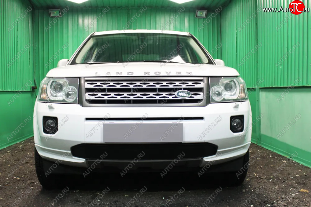 2 899 р. Защитная сетка в бампер (низ, ячейка 3х7 мм) Alfeco Стандарт  Land Rover Freelander  L359 (2010-2012) 1-ый рестайлинг (Чёрная)  с доставкой в г. Вологда