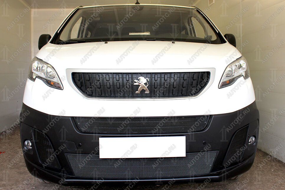 5 949 р. Защита радиатора (2 части центральные) Стрелка11 Стандарт  Peugeot Expert  K0 (2016-2024) цельнометаллический фургон дорестайлинг (черная)  с доставкой в г. Вологда