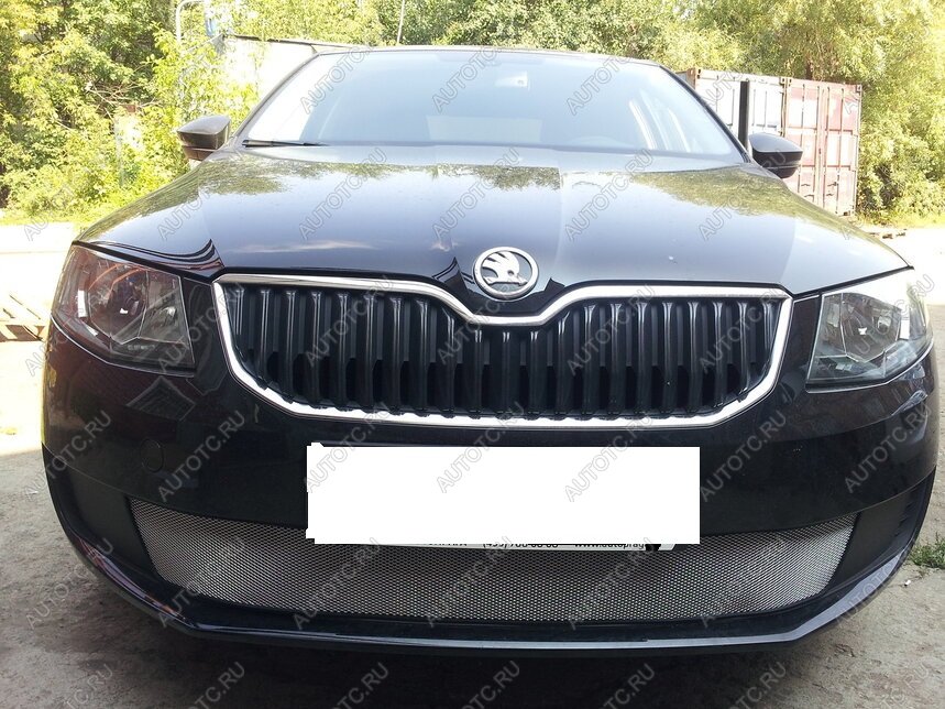 3 179 р. Защита радиатора (Active) Стрелка11 Стандарт  Skoda Octavia  A7 (2012-2017) дорестайлинг лифтбэк, дорестайлинг универсал (хром)  с доставкой в г. Вологда