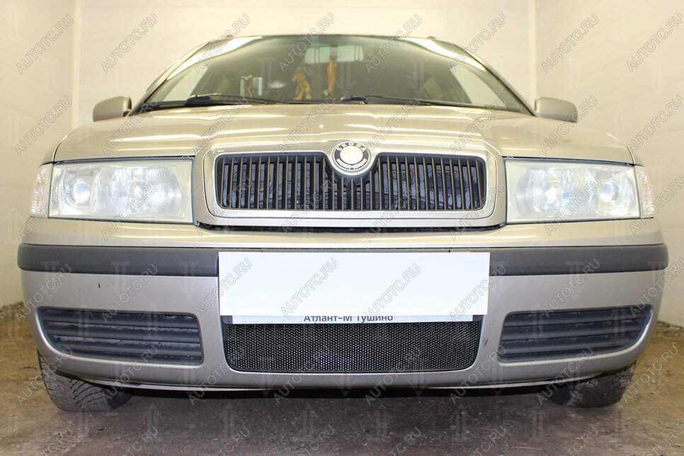 2 899 р. Защита радиатора (Active) Стрелка11 Стандарт  Skoda Octavia ( Tour A4 1U2,  Tour A4 1U5) (2000-2010) лифтбэк рестайлинг, универсал рестайлинг (черная)  с доставкой в г. Вологда
