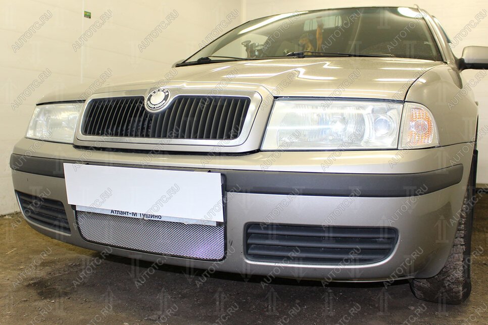3 149 р. Защита радиатора Стрелка11 Стандарт  Skoda Octavia ( Tour A4 1U2,  Tour A4 1U5) (2000-2010) лифтбэк рестайлинг, универсал рестайлинг (хром)  с доставкой в г. Вологда