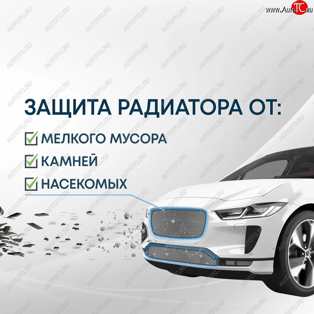 3 199 р. Защитная сетка в бампер (низ, ячейка 3х7 мм) Alfeco Стандарт  EXEED RX (2022-2025) (Хром)  с доставкой в г. Вологда