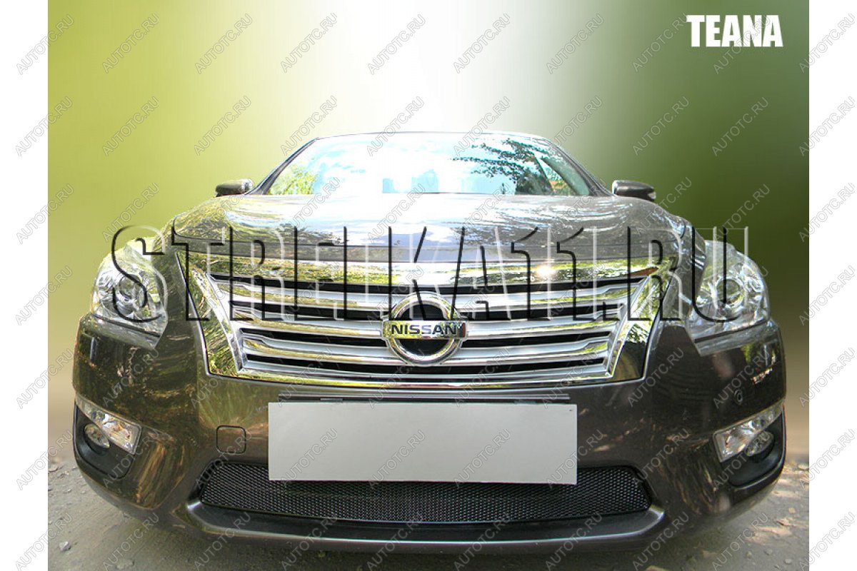 4 099 р. Защита радиатора Стрелка11 PREMIUM  Nissan Teana  2 J32 (2008-2011) дорестайлинг (черная)  с доставкой в г. Вологда