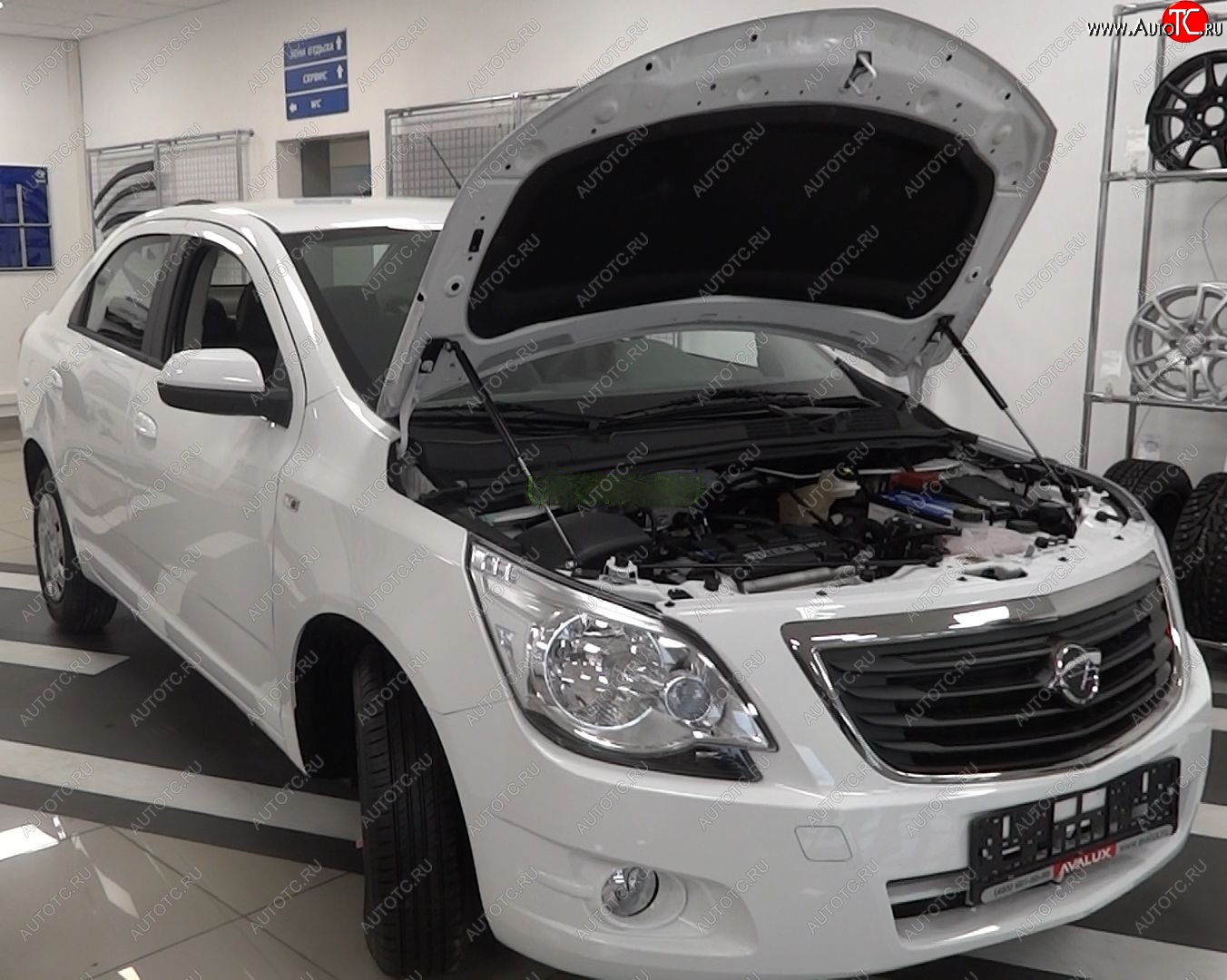 2 049 р. Упоры капота Russtal Ravon R4 (2016-2020)  с доставкой в г. Вологда