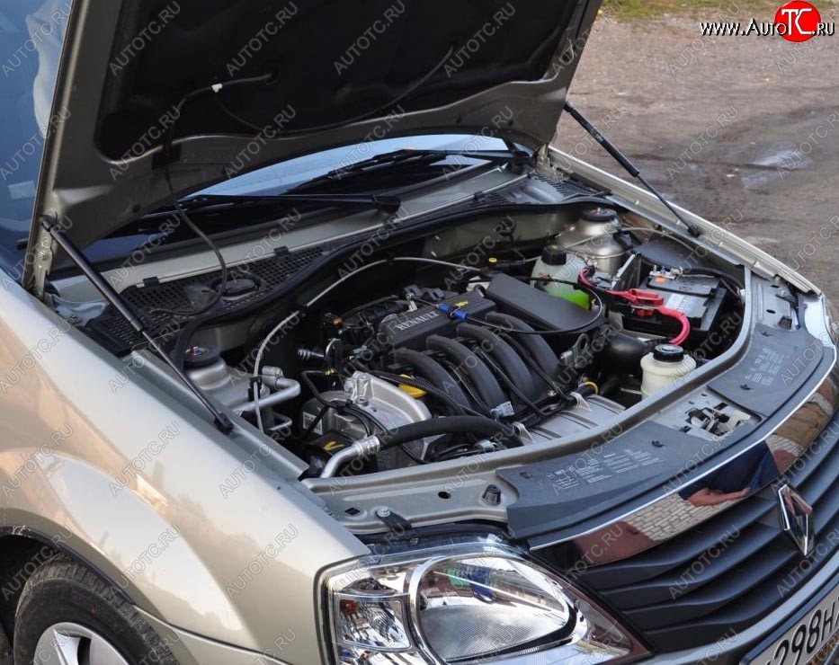 2 199 р. Газовые упоры капота Berkut Renault Logan 1 дорестайлинг (2004-2010)  с доставкой в г. Вологда