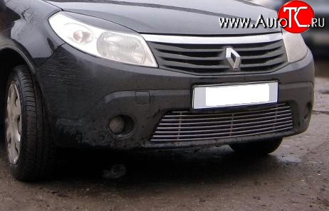 5 999 р. Декоративная вставка воздухозаборника Berkut Renault Sandero (BS) (2009-2014)  с доставкой в г. Вологда