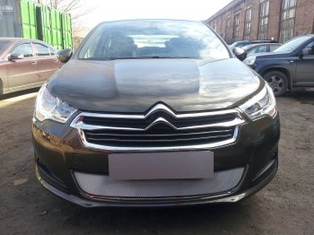 Защитная сетка радиатора в бампер (ячейка 3х7 мм) Стрелка 11 Стандарт CITROEN C4  B7 (2013-2016) седан дорестайлинг (хром)