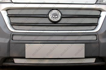 6 849 р. Защитная сетка в бампер (ячейка 3х7 мм, 5 частей) Alfeco Стандарт  Fiat Ducato  290 (2014-2025) (Хром)  с доставкой в г. Вологда. Увеличить фотографию 2