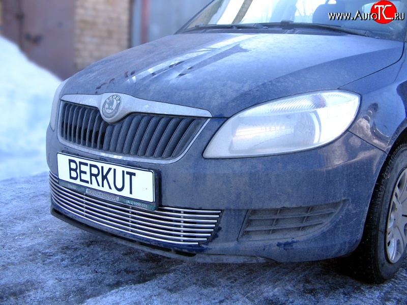 5 899 р. Декоративная вставка воздухозаборника Berkut Skoda Fabia Mk2 универсал дорестайлинг (2007-2010)  с доставкой в г. Вологда