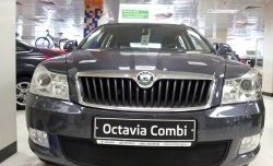 1 469 р. Сетка на бампер Russtal (черная) Skoda Octavia A5 рестайлинг универсал (2008-2013)  с доставкой в г. Вологда. Увеличить фотографию 3